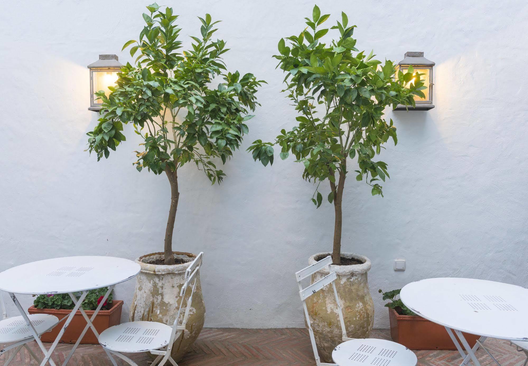 Hotel Casa Shelly Hospederia